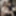 Mature 52 housewife with huge tits seduce lucky young boy