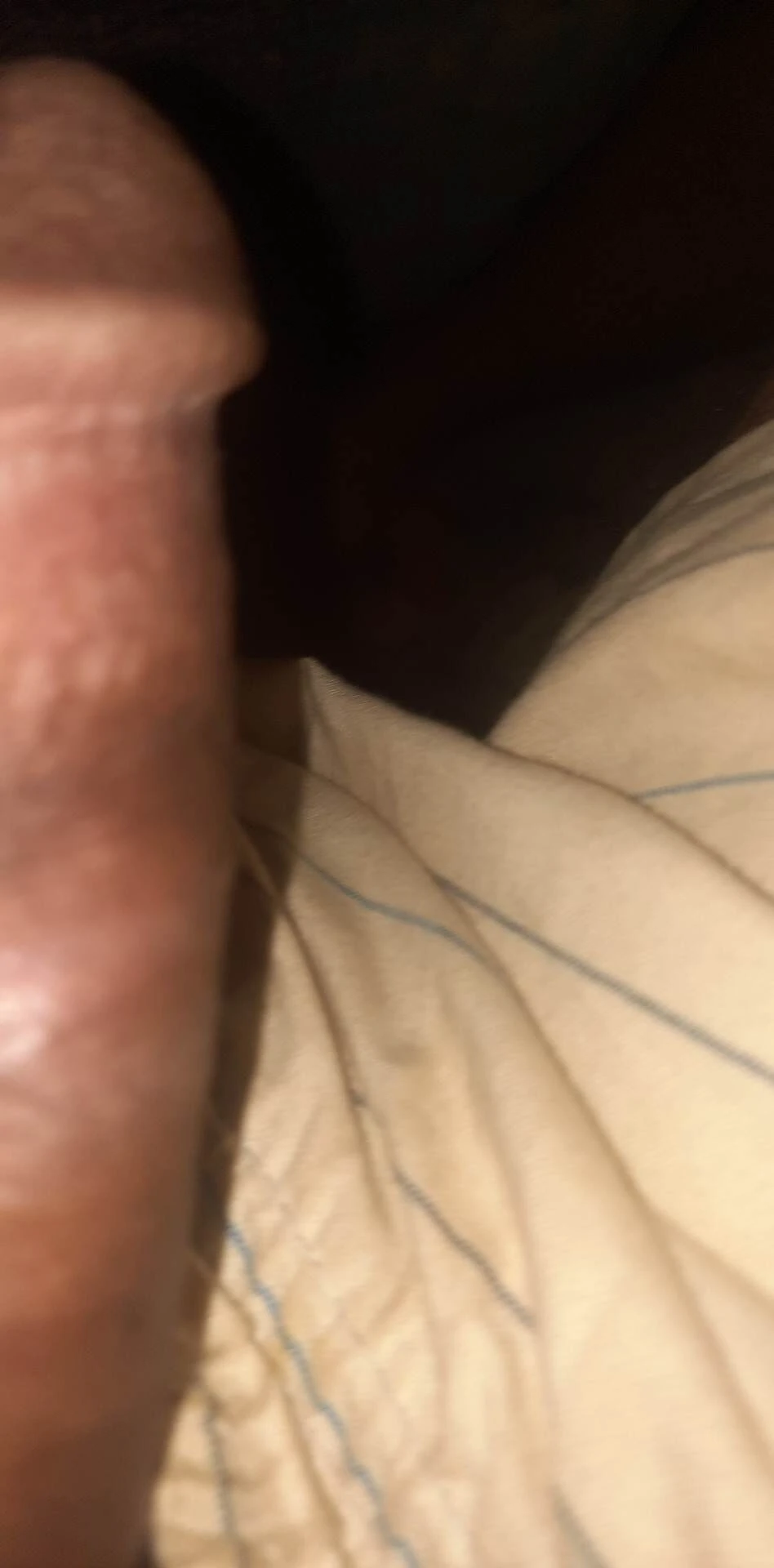 ANTING  PENIS