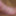 BBW-füße # 15