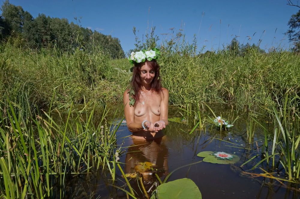 In pond with waterflowers #43