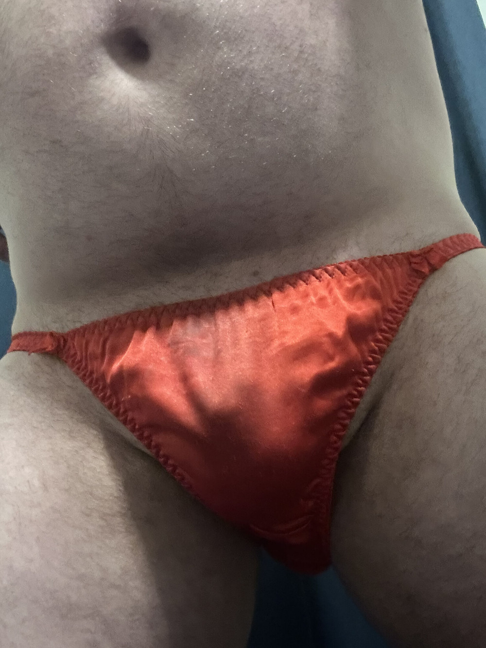 Silk panties #14