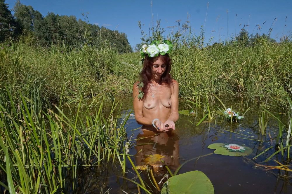 In pond with waterflowers #45