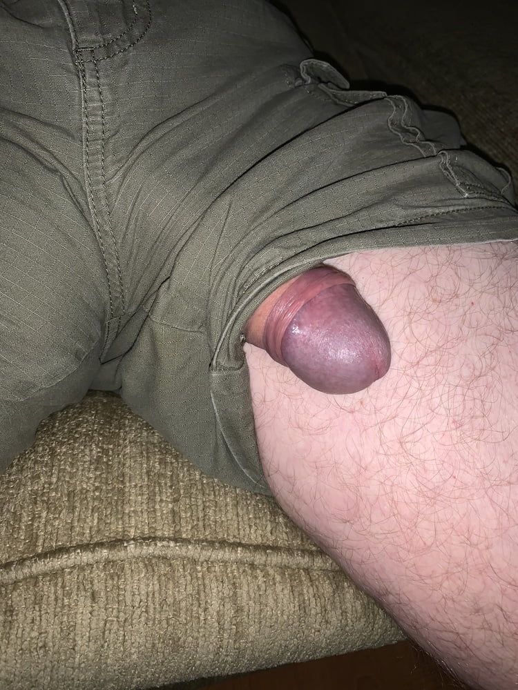 Cock in Shorts  #17
