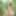 Cute brunette Maxa posing nude in the forest #13