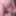 Album 013