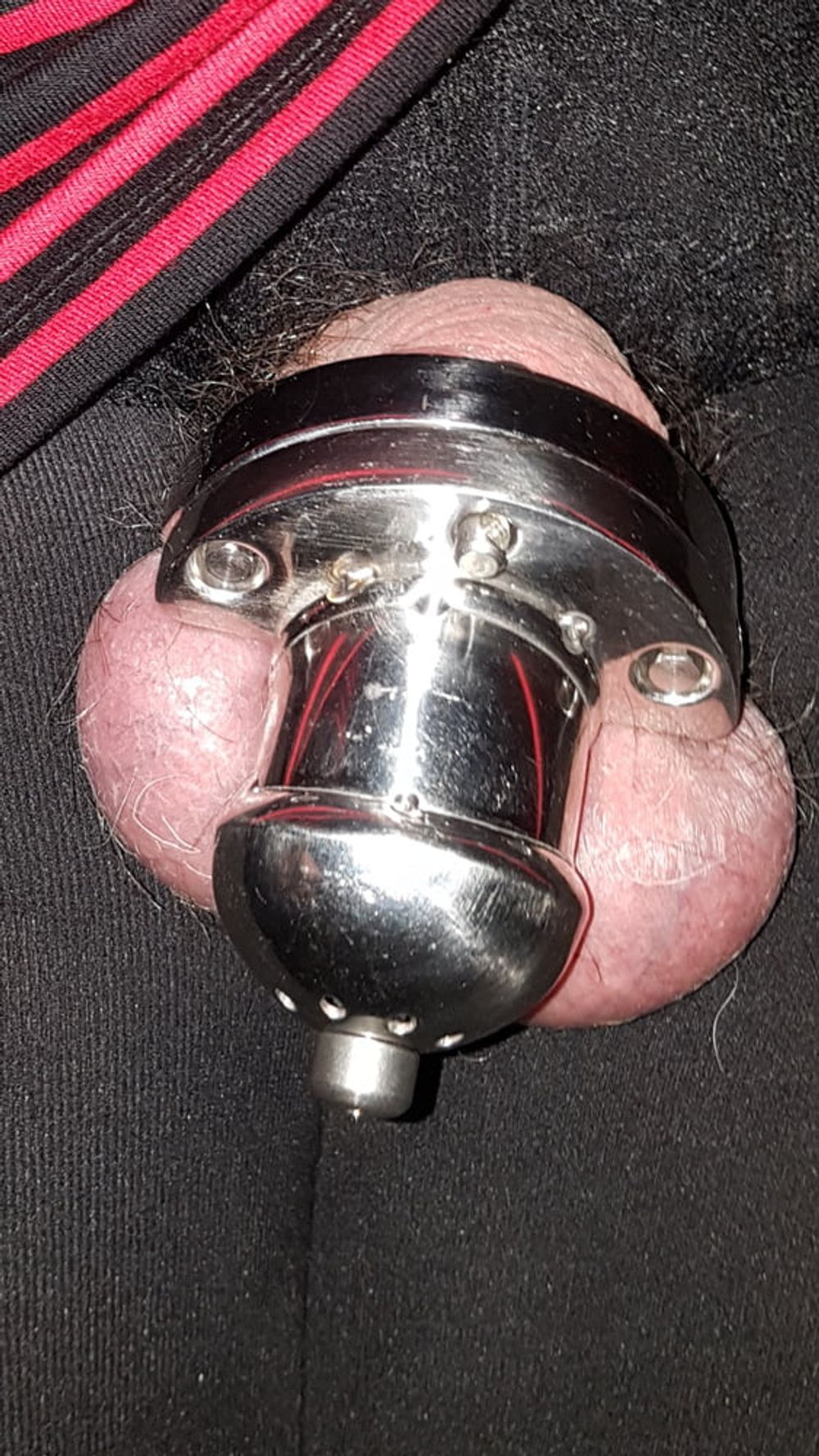 Chastity cage