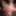 Crossdresser hard dick in lingerie
