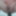 Sexe machine gode xxxl gode fist  #29