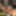 amateur transvestite sounding urethral lingerie 2