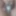 Daily duty of the naked slave March 31th, 2024 #5