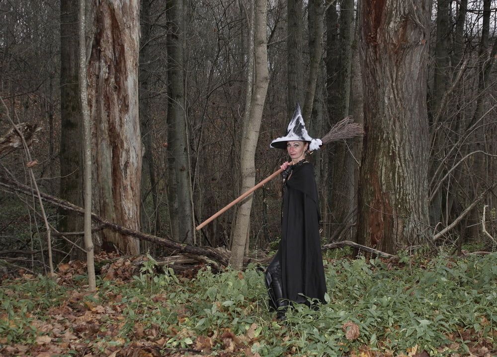 Witch with broom in forest #42