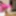 FEMOUT.XXX: Taking It To The Maxima #6