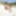 Blondine pisst am Strand #8