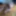 Tygra best mixed pictures on 2018 october.
