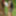 Bondage and piss games in the forest with porn woman #19