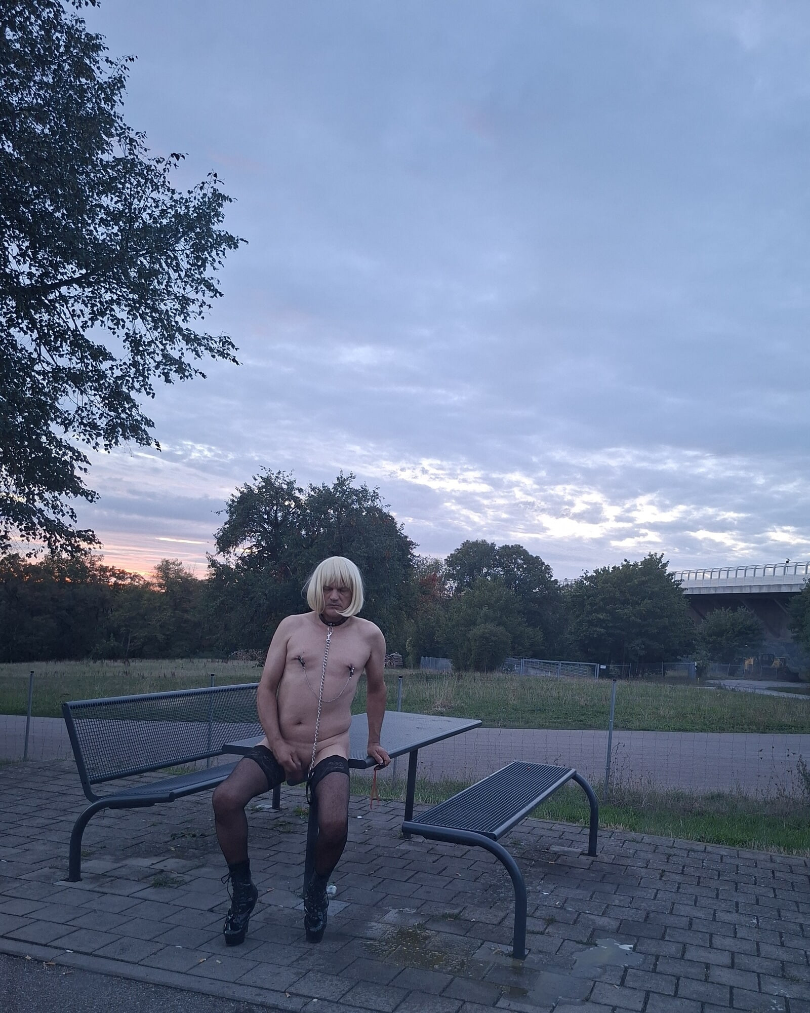 Rest Area #22