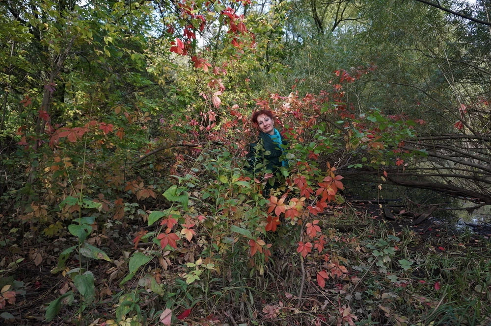 Autumn plot #25
