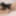 Reina Shiraishi :: Fall In Love - CARIBBEANCOM #4