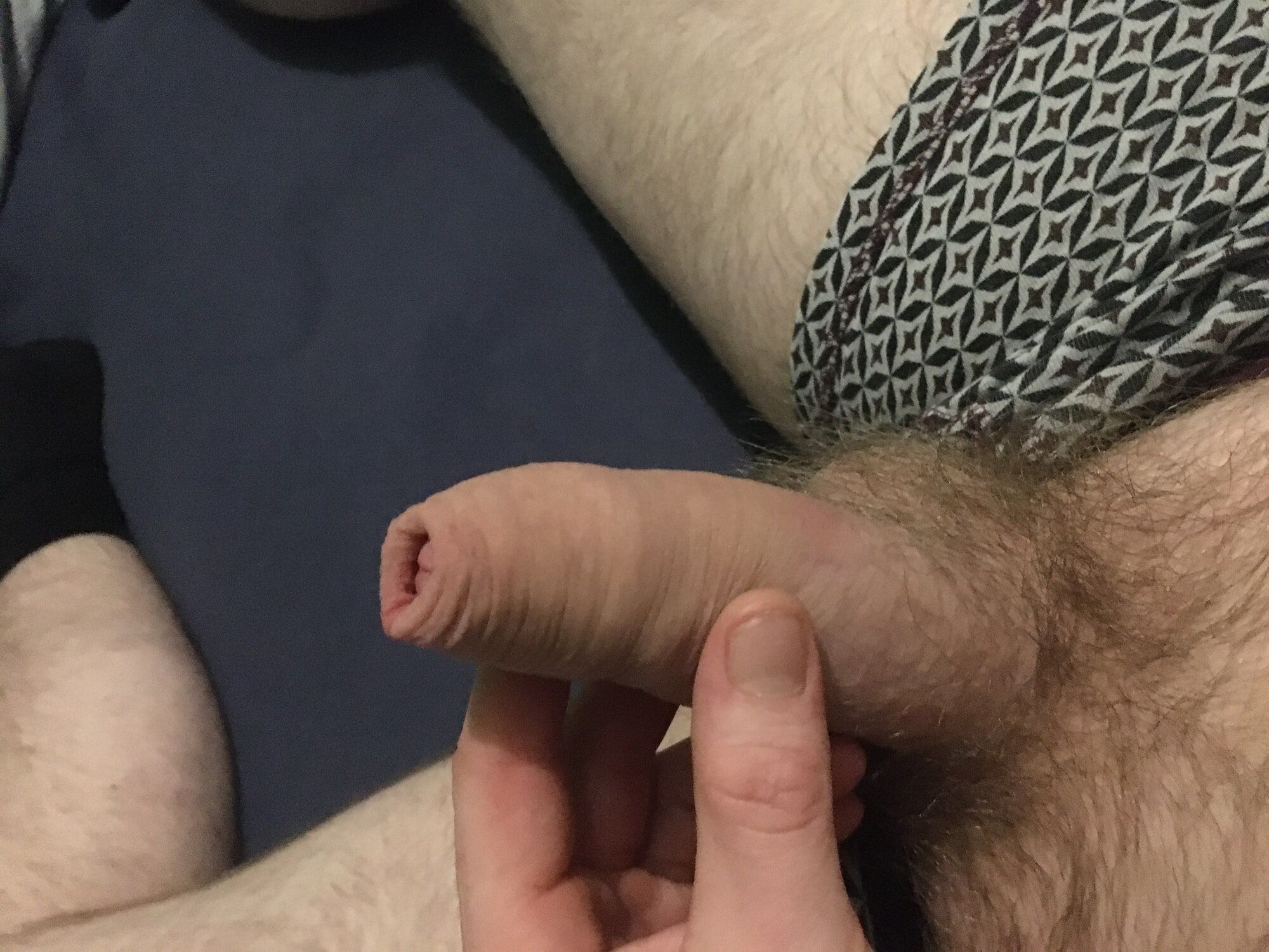 Hairy Dick And Balls Foreskin Pre-cum Play #49