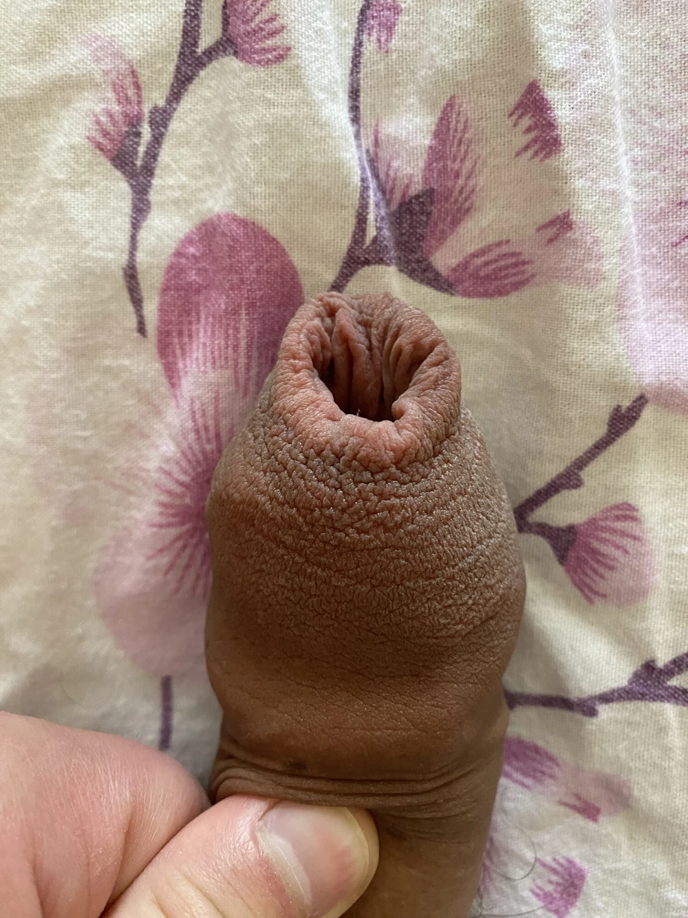 Foreskin donut ring stretching #3