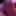 Foreskin 