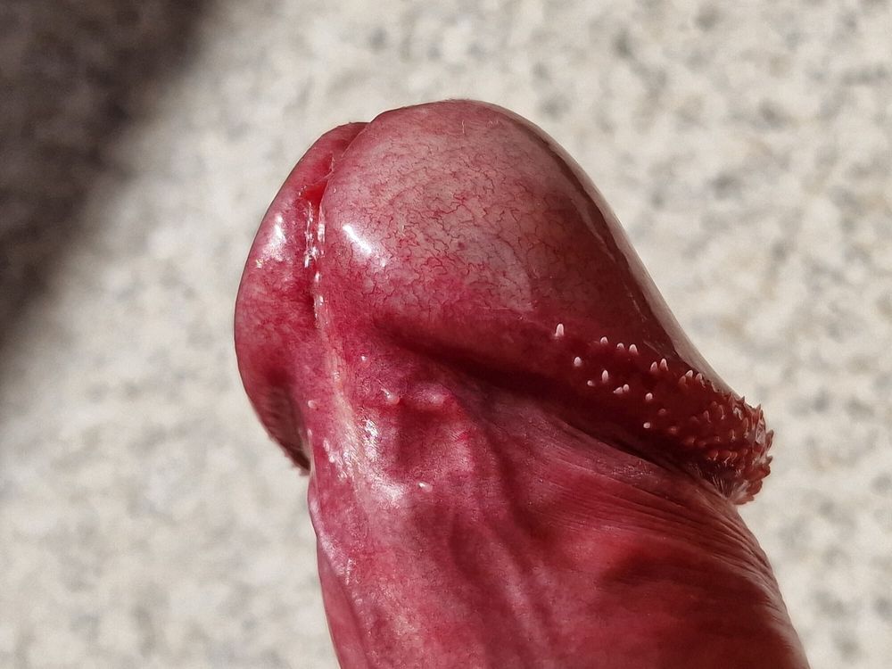 Big Dick Glans Close up #3