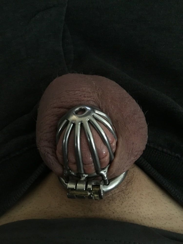 Tiny Caged Cock with Purple balls #10