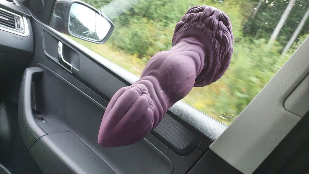 Roadtrip with Bad Dragon Apollo XL #8