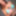 Brat Gifs KINKY