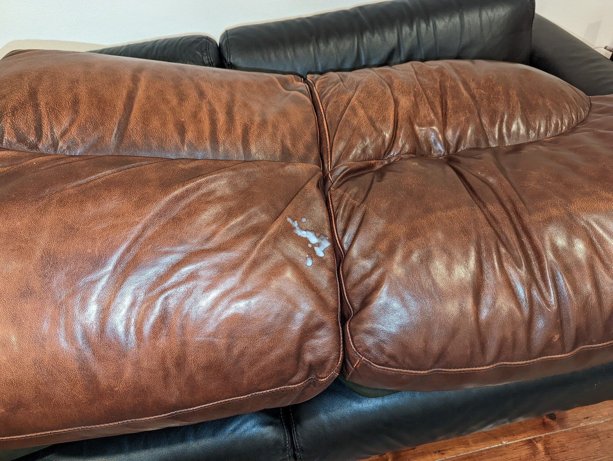 Cum on my leather pillow