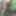 Tygra slut nude in the forest of the Robertsau. #24