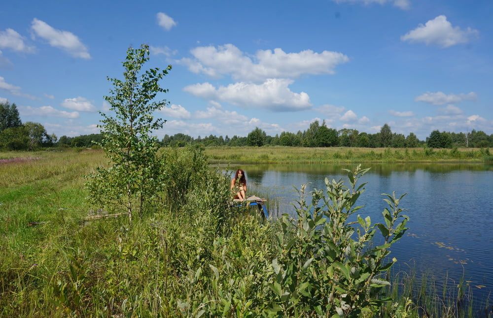 On planket of Koptevo-pond #2