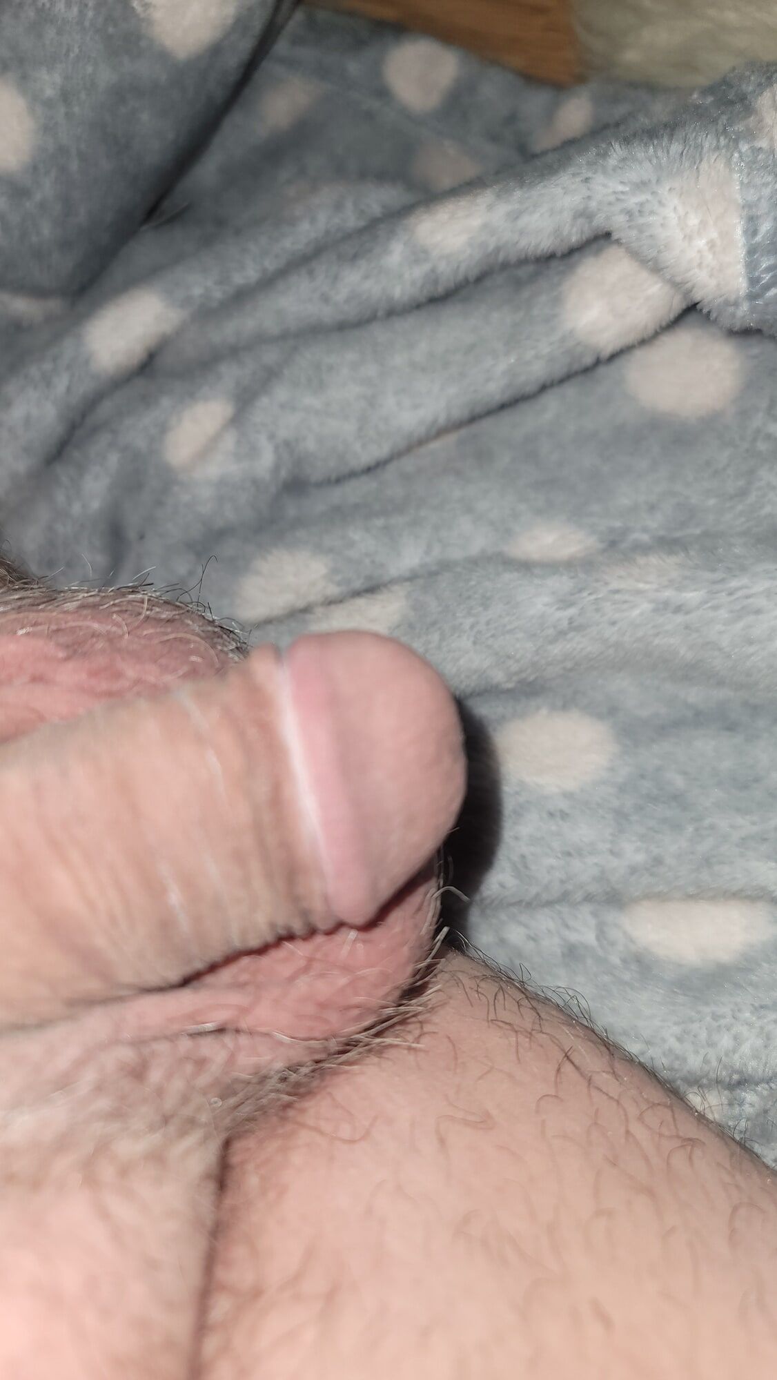 tiny cock