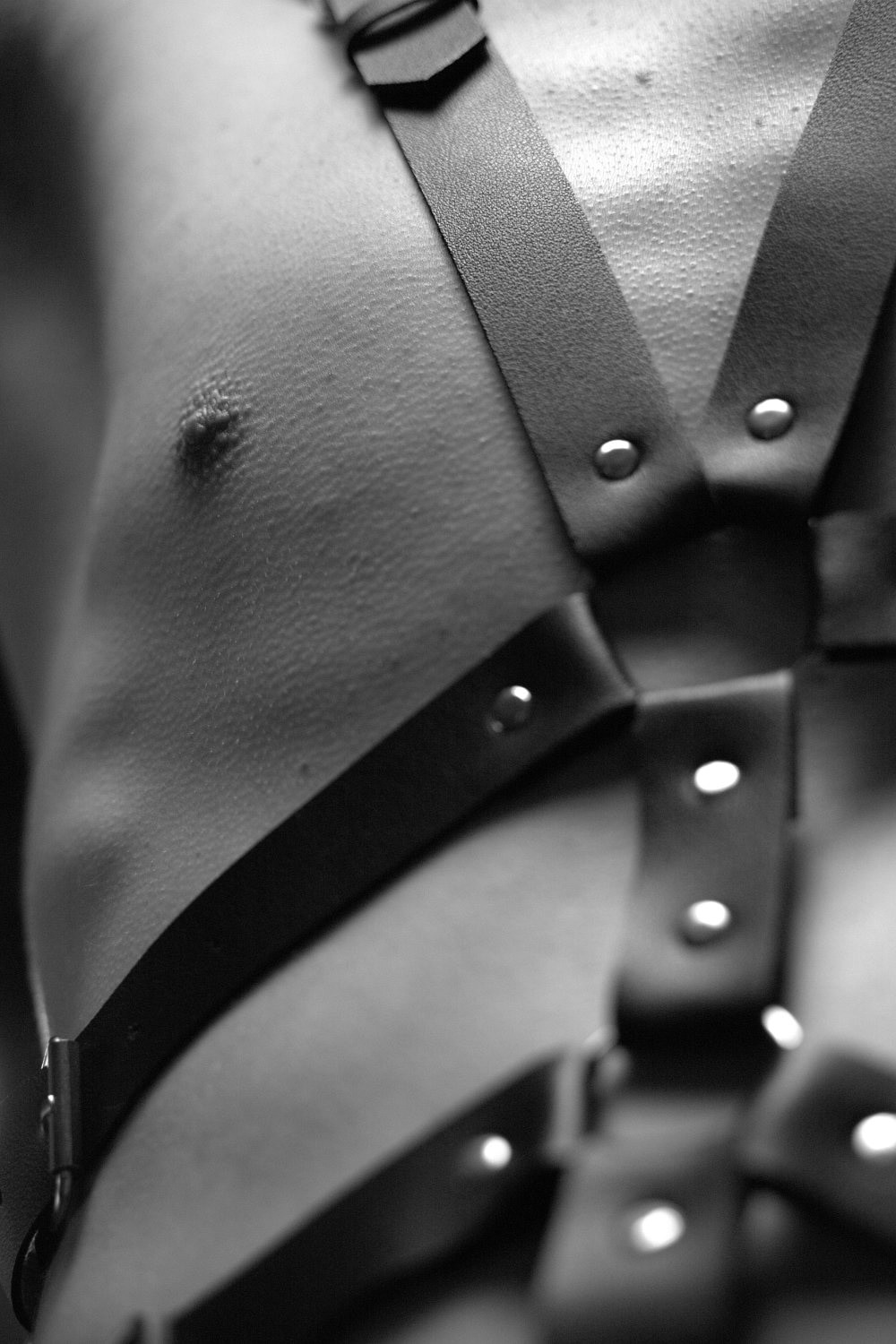 Leather and harness #14