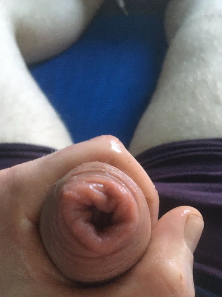Oiled Hairy Cock And Balls Pt.2  #21