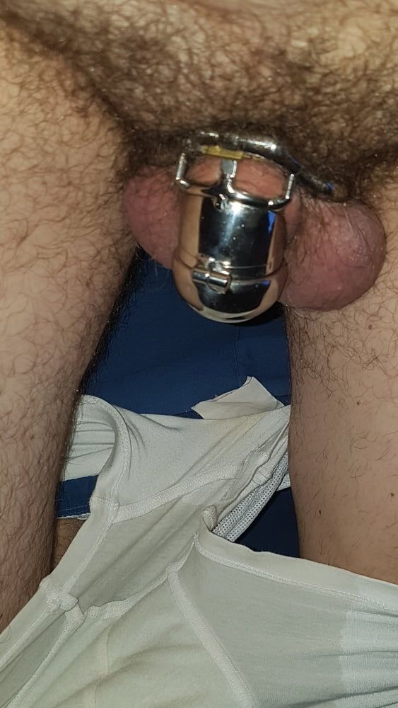 Chastity cage #40