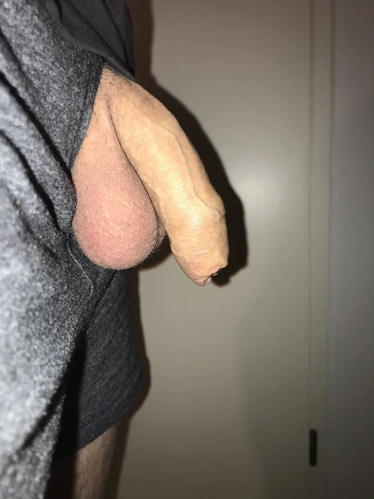 Foreskin Cock