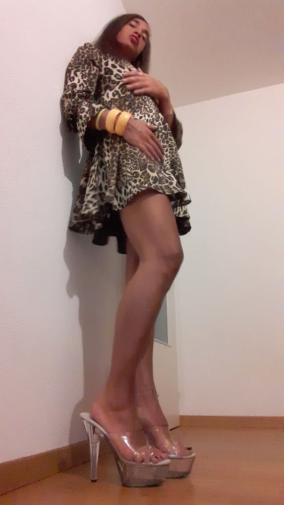 Sissy Tygra in leopard dress on 2019 octobre. #58