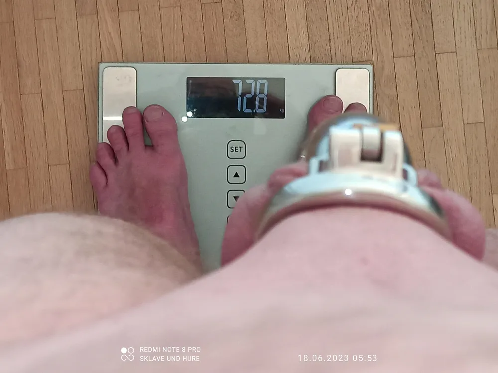 Weighing, cagecheck, plug presentation June 18th, 2023 #11