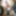 NEW 2019 Pics #27