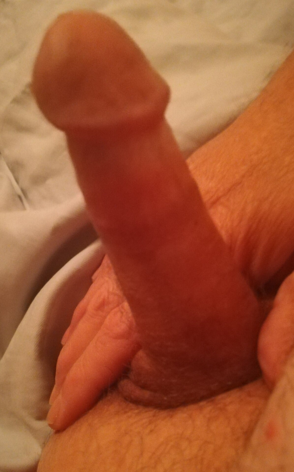 Girthy and needing attention  #5