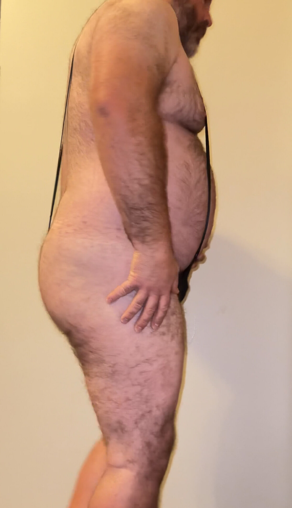 Hairy versus trimmed and shaved bear  #7