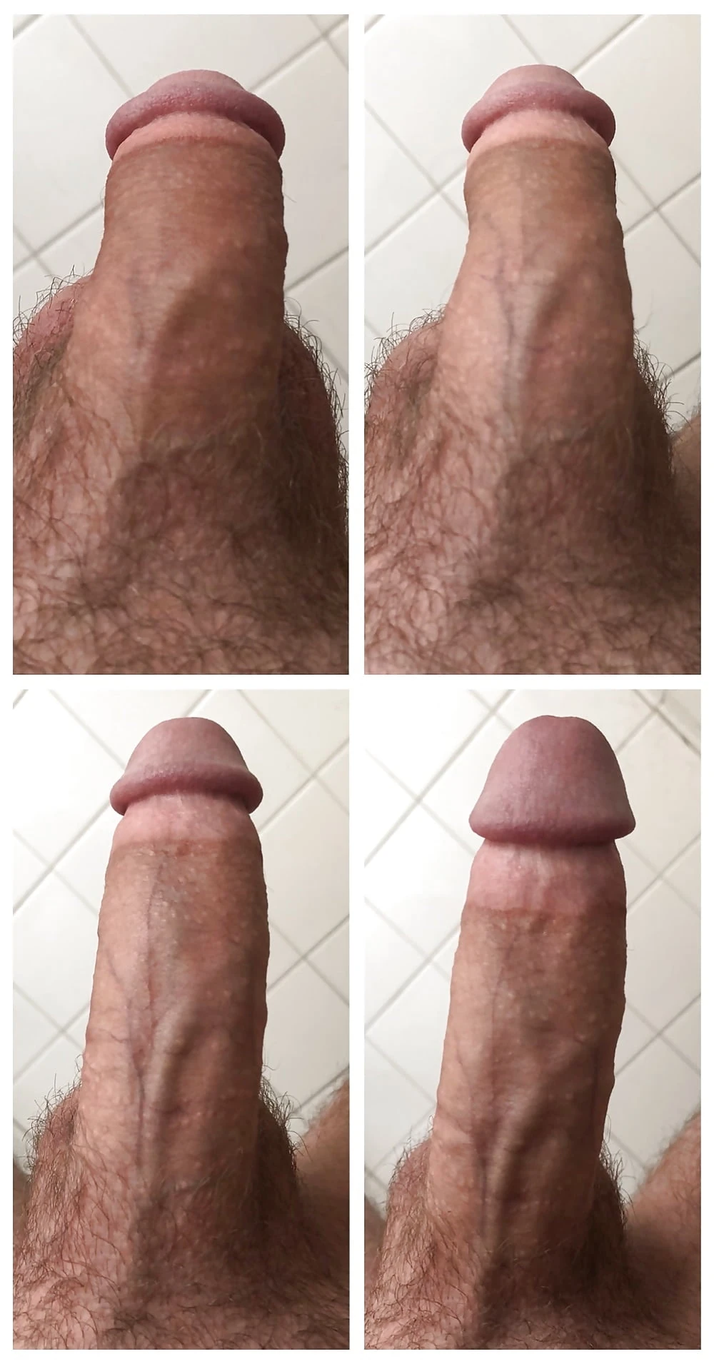Beautiful cock artsy all angles close-up #31