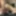 ROMANTIC, EROTIC AND PASSIONAL SEX
