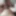 photos of cock in pussy, pussy in cum