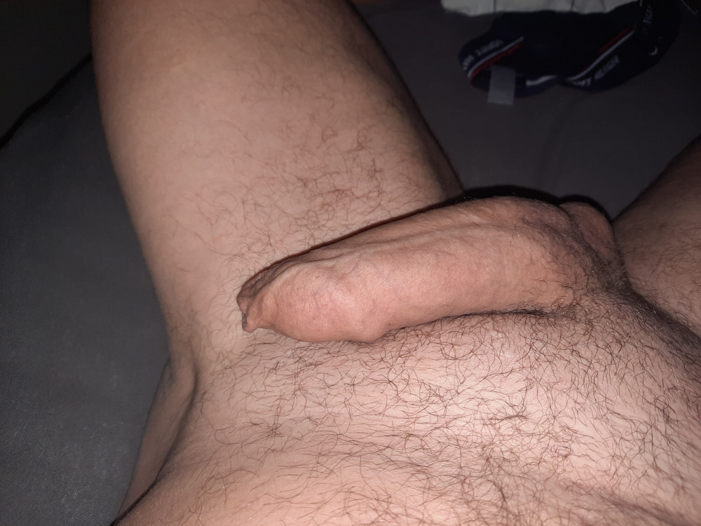 Cock  #2