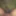 Desi boy big black cock show photo shoot