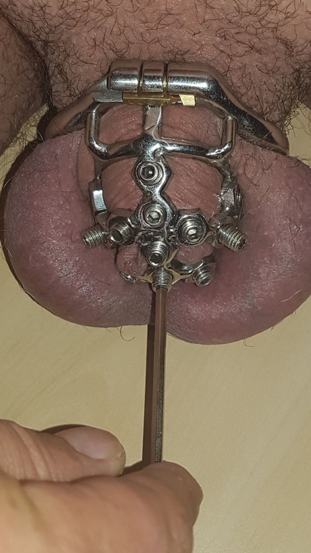 Chastity cage #32