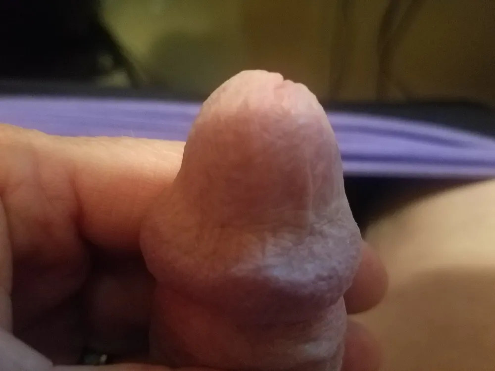 My little Cock again. #3