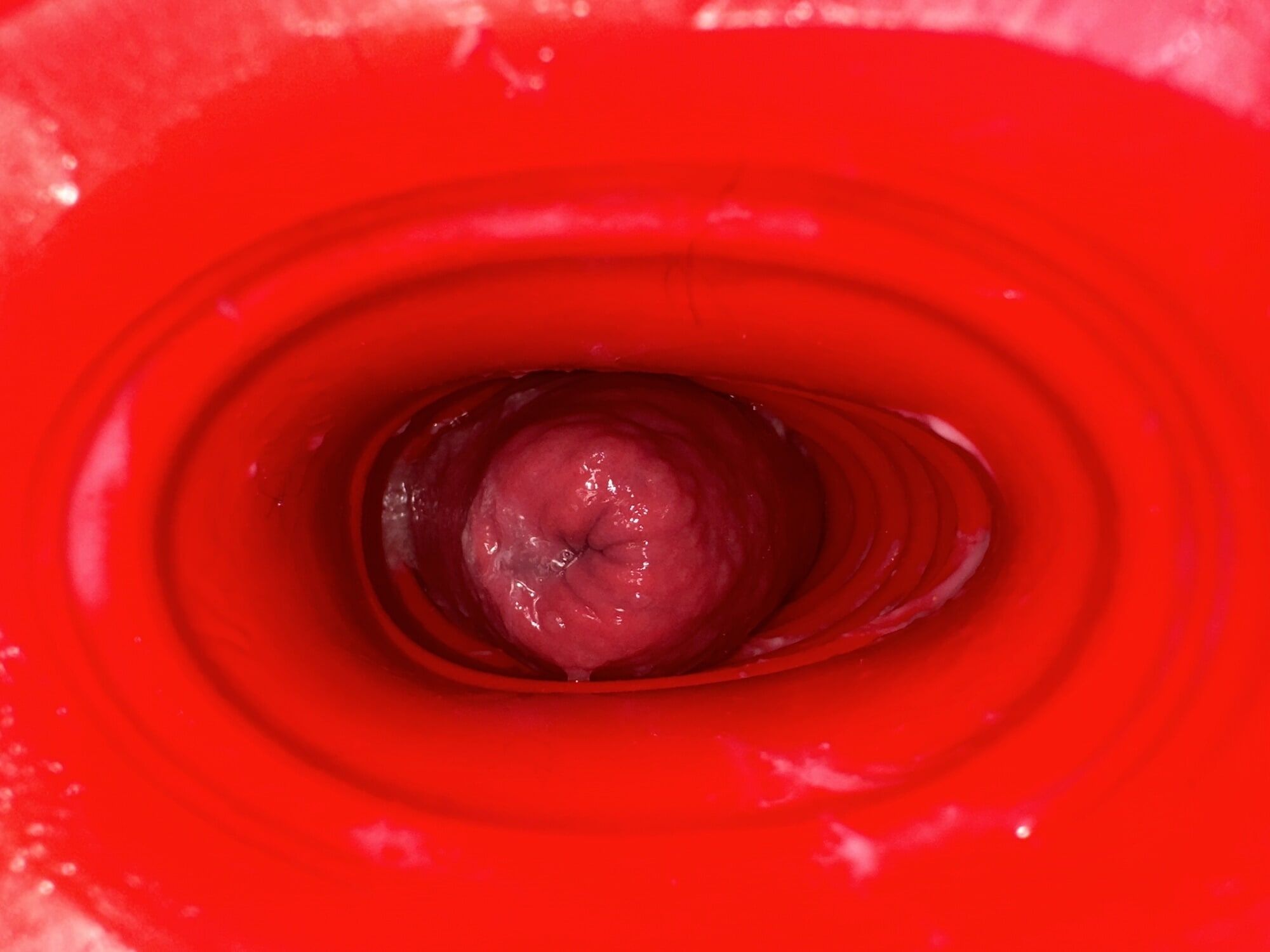 Anal prolapse in oxball ff pighole #6